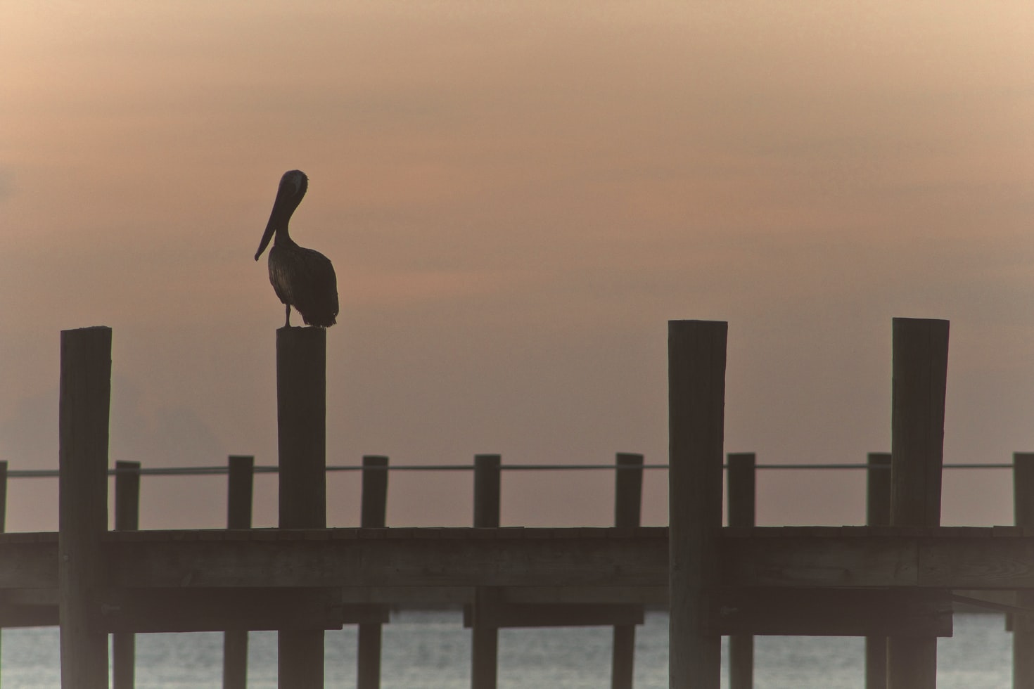 port st. lucie coast